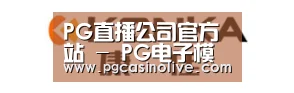 康佳