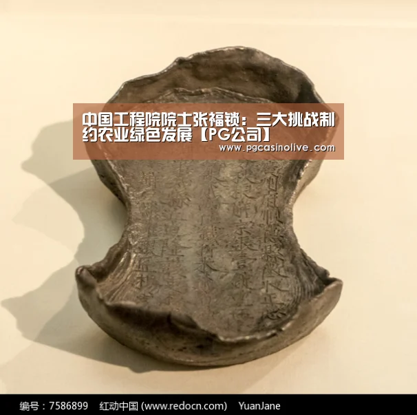 中国工程院院士张福锁:三大挑战制约农业绿色发展【PG公司】(图1) PG服务