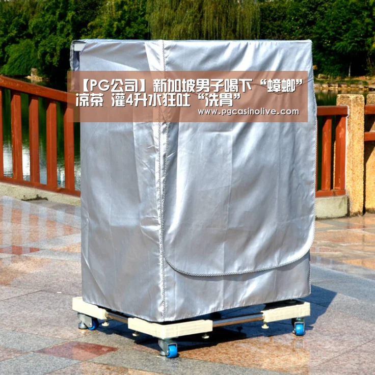 PG公司