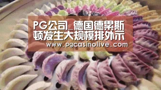 PG公司_德国德累斯顿发生大规模排外示威活动 人数或超3万(图1) PG服务