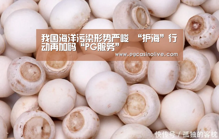 我国海洋污染形势严峻 “护海”行动再加码“PG服务”(图1) PG服务