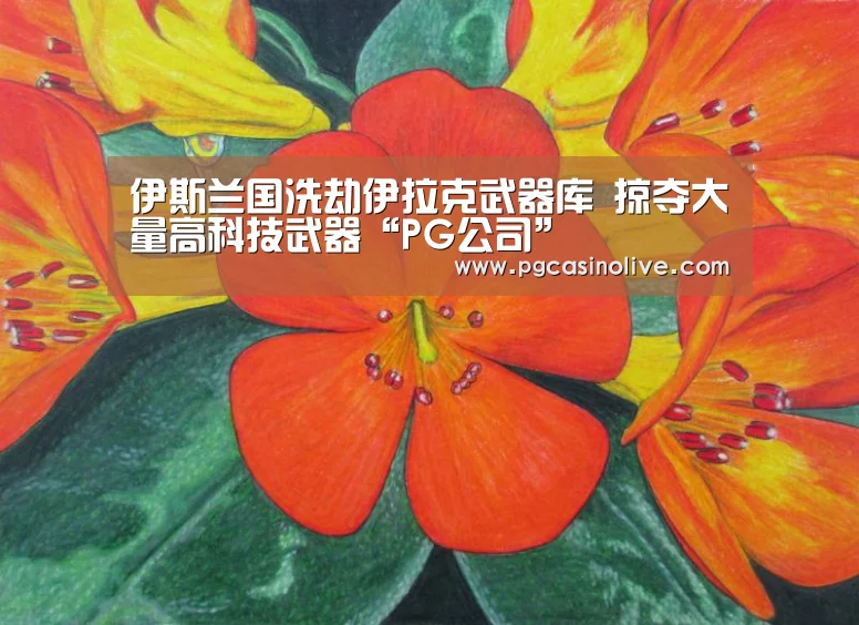 PG直播
