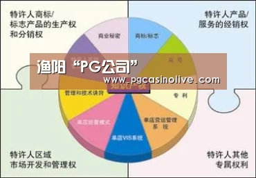 PG公司