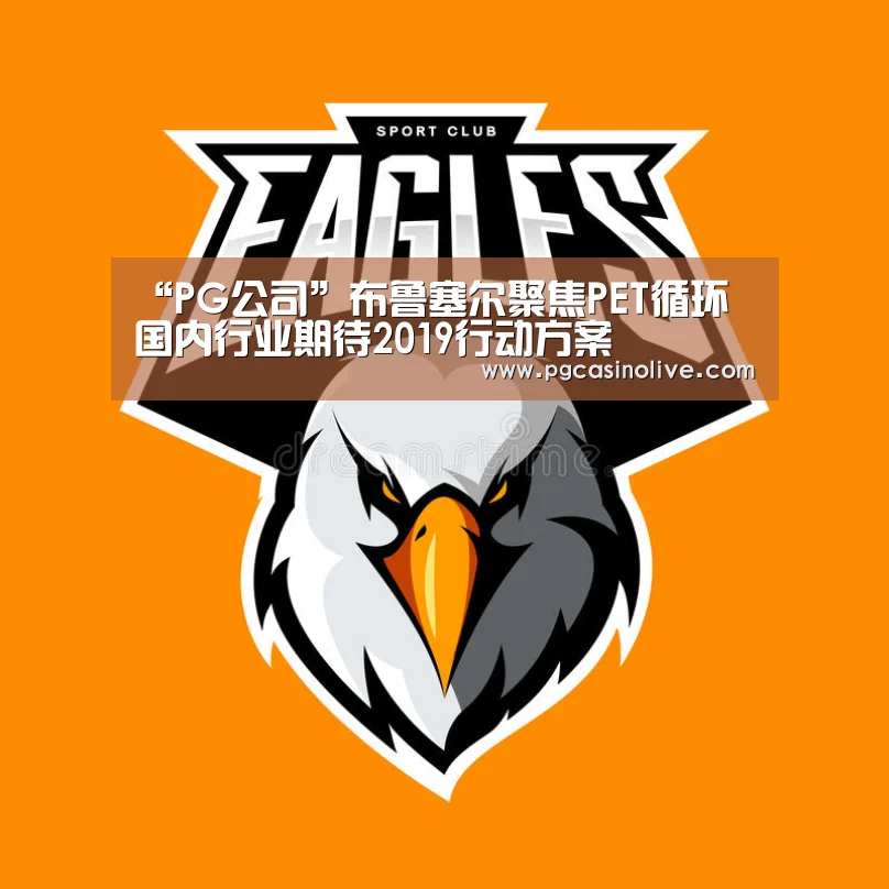 “PG公司”布鲁塞尔聚焦PET循环 国内行业期待2019行动方案(图1) PG服务
