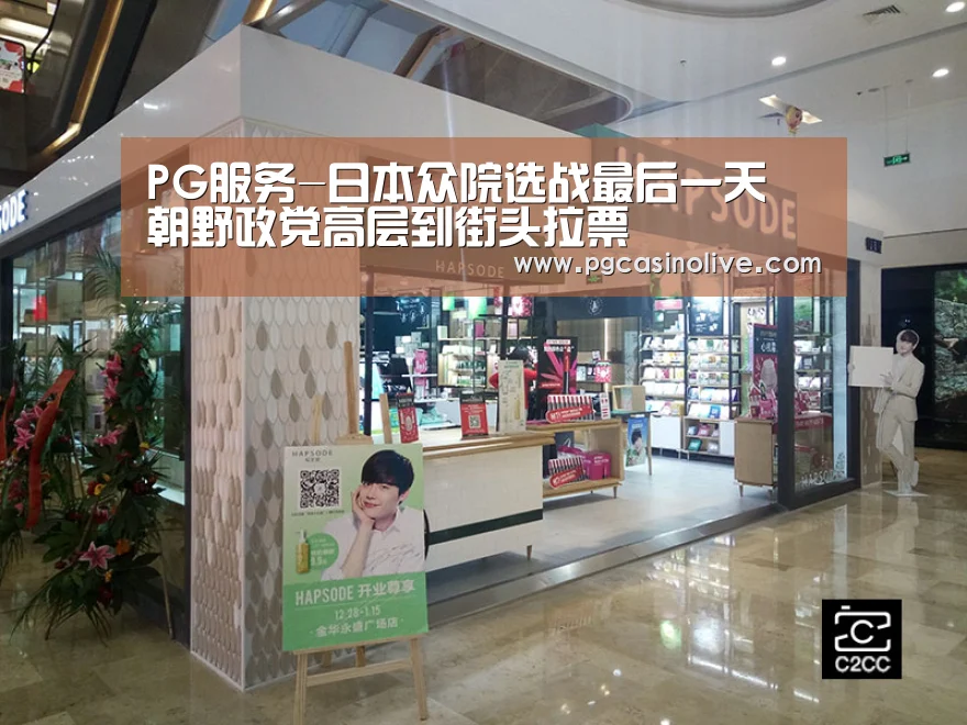 PG服务-日本众院选战最后一天 朝野政党高层到街头拉票(图4) PG模拟器