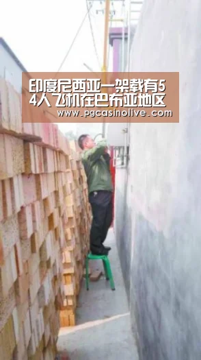 印度尼西亚一架载有54人飞机在巴布亚地区失联‘PG直播’(图3) PG公司