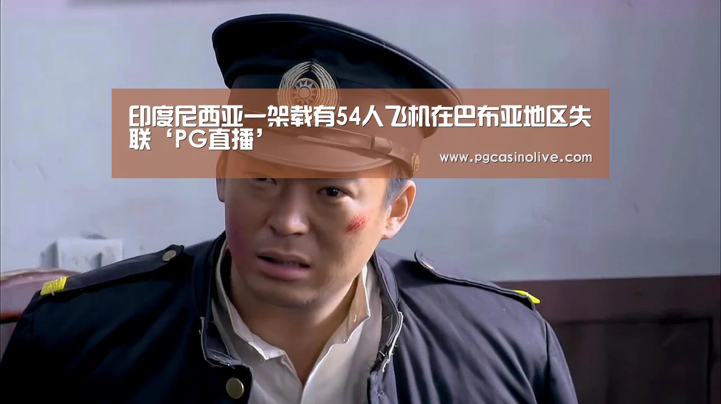 印度尼西亚一架载有54人飞机在巴布亚地区失联‘PG直播’(图2) PG服务