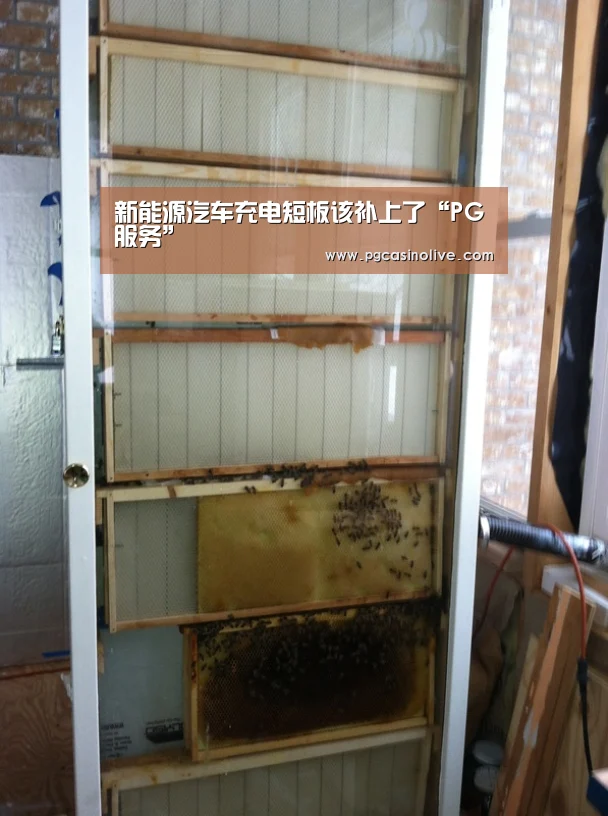 新能源汽车充电短板该补上了“PG服务”(图2) PG直播
