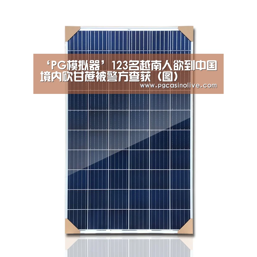 ‘PG模拟器’123名越南人欲到中国境内砍甘蔗被警方查获(图)(图3) PG服务