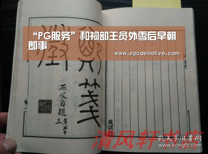 PG模拟器