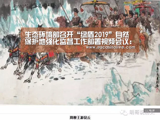 生态环境部召开“绿盾2019”自然保护地强化监督工作部署视频会议:PG直播(图2) PG服务