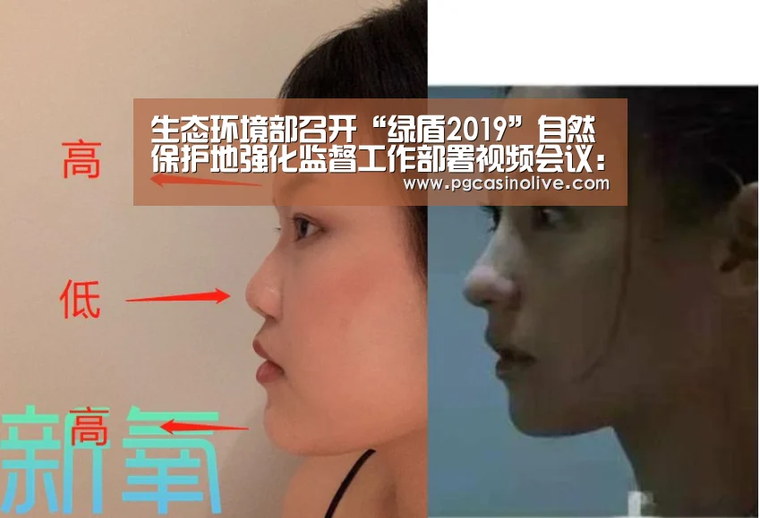 生态环境部召开“绿盾2019”自然保护地强化监督工作部署视频会议:PG直播(图1) PG公司
