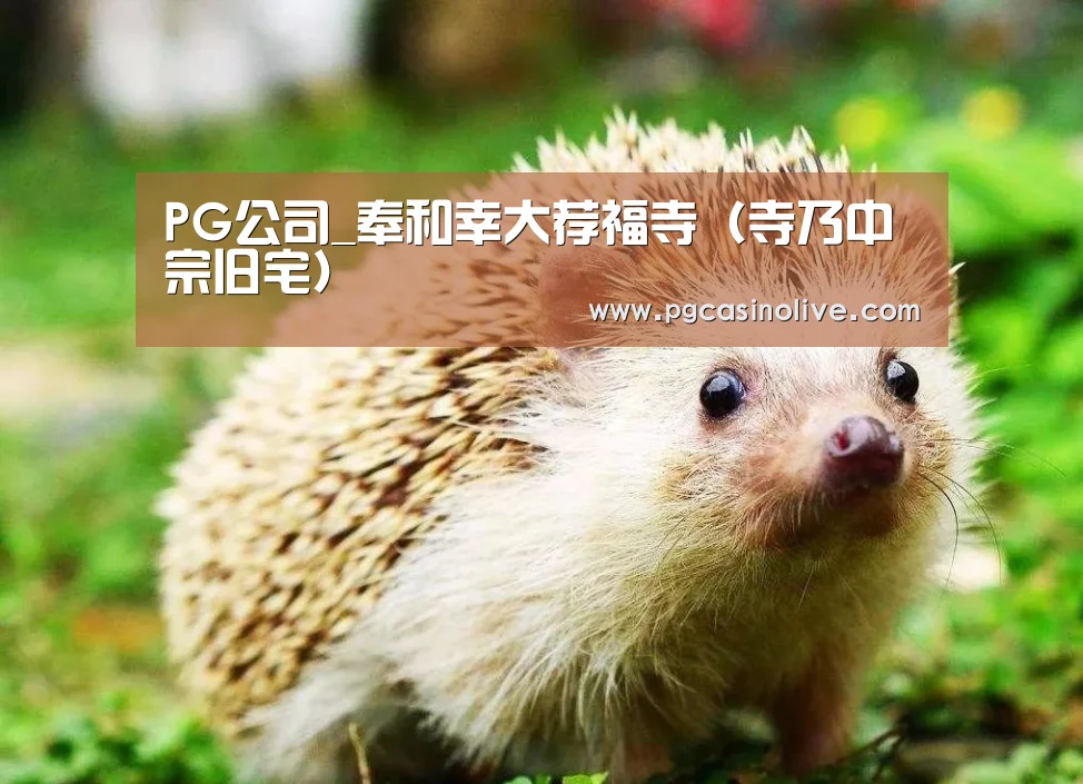 PG模拟器