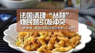 法国清理“丛林”难民营引发冲突 约20处安置所遭纵火_PG直播(图3) PG直播
