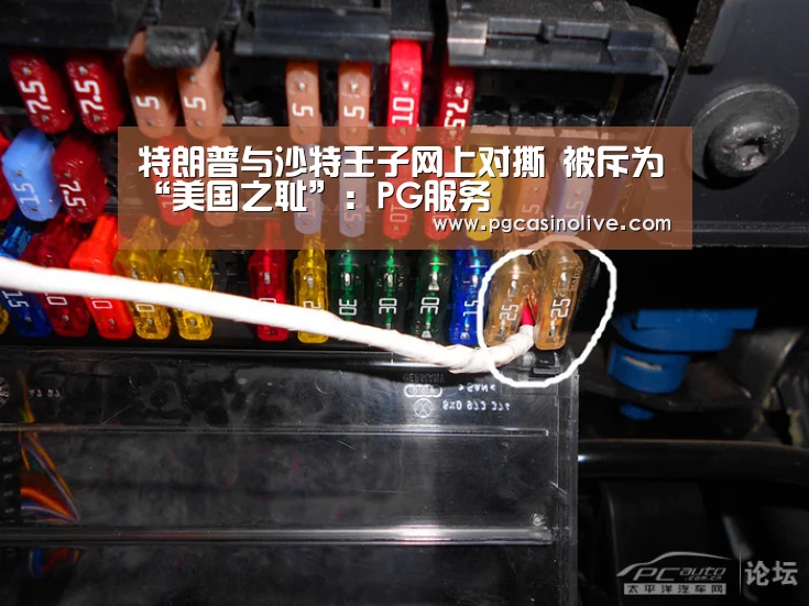 特朗普与沙特王子网上对撕 被斥为“美国之耻”:PG服务(图2) PG公司