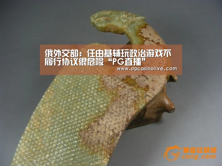 俄外交部:任由基辅玩政治游戏不履行协议很危险“PG直播”(图1) PG公司