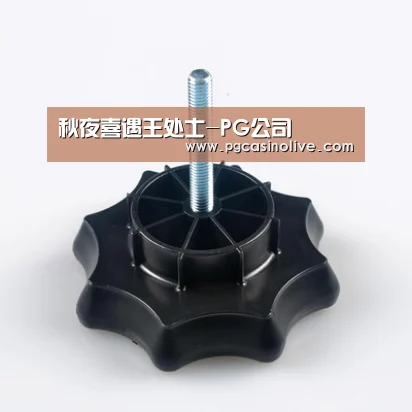 秋夜喜遇王处士-PG公司(图1) PG服务