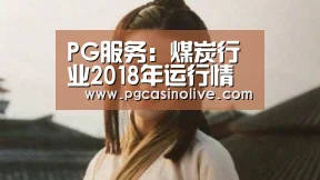 PG服务:煤炭行业2018年运行情况及后市展望(图1) PG模拟器