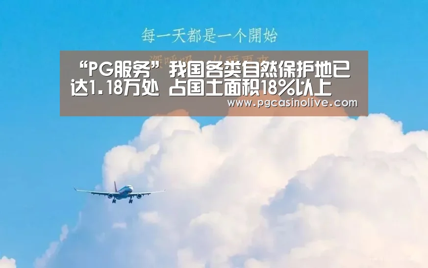 PG公司