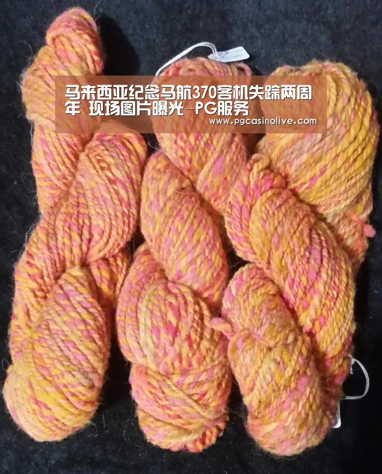 马来西亚纪念马航370客机失踪两周年 现场图片曝光-PG服务(图2) PG模拟器