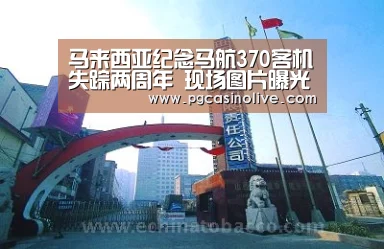 马来西亚纪念马航370客机失踪两周年 现场图片曝光-PG服务(图1) PG服务